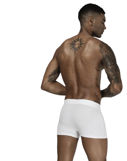 fd5f798a66feebd8d40c8e5dd6e5acb0