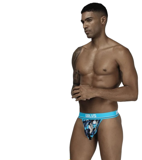 c4274f66b3a62885ac489793d4338ca8