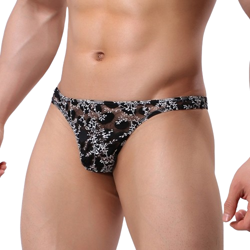 1be76aaeb268a082e81724b8b33d47fc