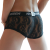 B204-Cz-1.png