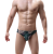B239-Zie-1.png