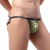 B241-Zo-1.png