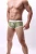 B243-Zie-2.webp