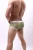 B243-Zie-3.webp